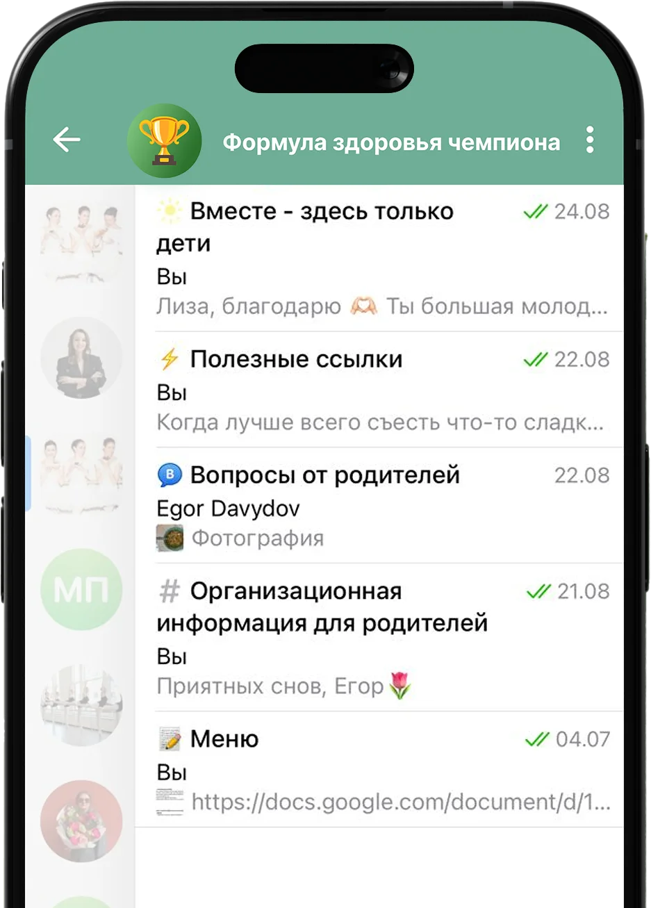 Чат сопровождения: детский и родительский чаты, куратор